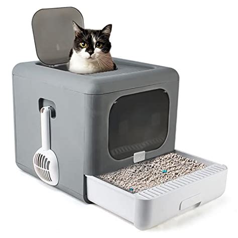 best non smelly litter box
